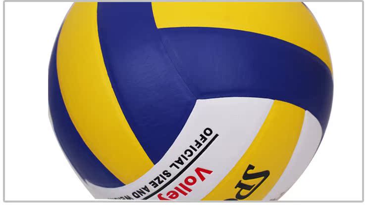 Ballon de volley-ball - Ref 2008548 Image 12