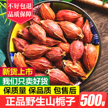 Gardenia 500g Mountain gardenia tea tea Red gardenia fruit Yellow gardenia bulk sold separately Chicory root Dandelion tea