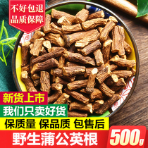 Dandelion Root Tea Changbaishan wild natural 500g 1 catty mother-in-law Ding with big root black tea Dandelion root