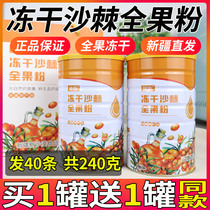 Achetez 1 envoi 1 au Xinjiang dargousier en poudre à base de fruits en poudre 6g x 40 bandes de fruits originaux lyophilisés de largousier