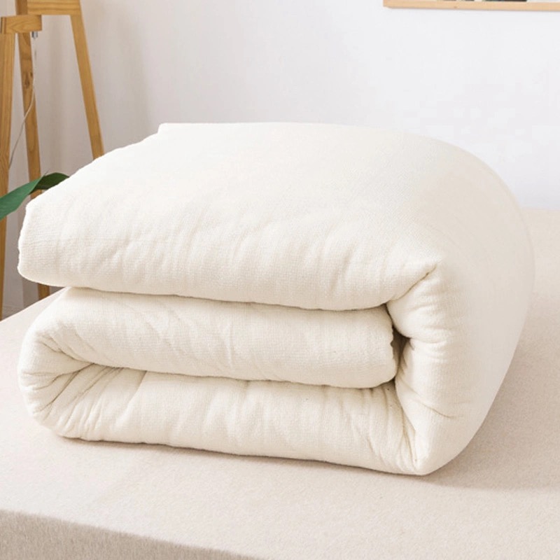 The cotton batch is cotton quilt in winter by cotton floccussed mattress and single student cotton wool