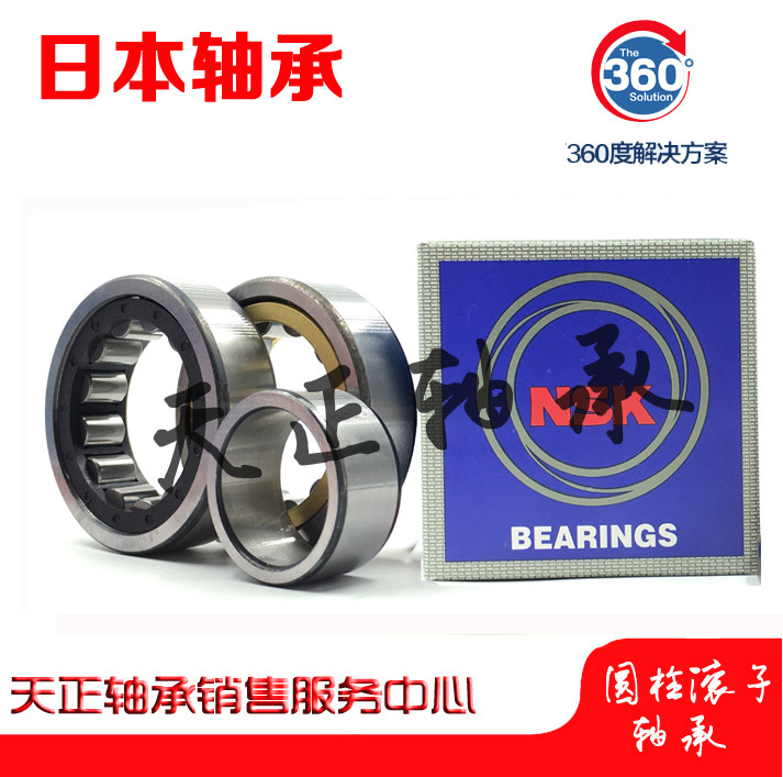 Imported NSK bearing N318 N319 N320 N321 N322 N324 EW EM C3