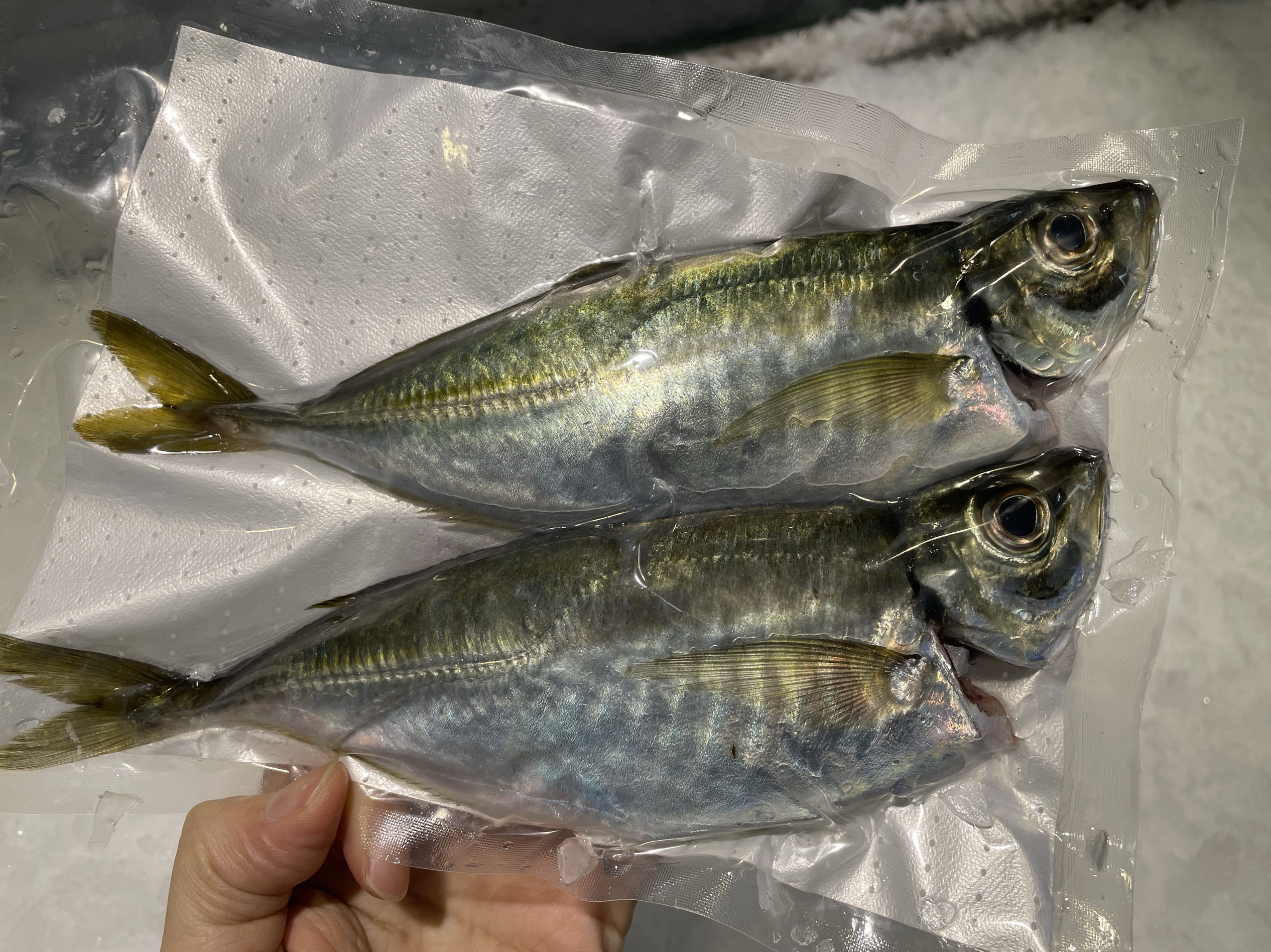小竹荚鱼和巴浪鱼刺身有什么区别?哪种更适合做刺身?-鲳鱼-淘宝好物网