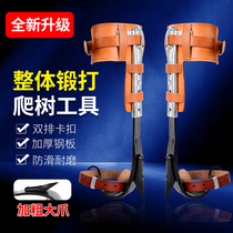 Forged and adjustable with adjustable upright climbing tree tool logging large inflexion with tree picking feet Zazione and bee iron shoe foot buckle