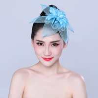 Небо голубой лотос с перьями