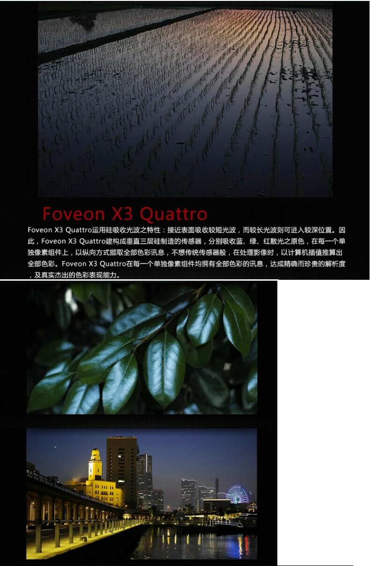 Sigma / Sigma DP2 Quattro micro đơn HD kỹ thuật số nhỏ cầm tay máy ảnh du lịch nhân văn - Máy ảnh kĩ thuật số máy ảnh canon giá rẻ