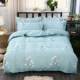 Chăn đơn mảnh mùa thu và mùa đông đôi 1,8m2 mét 180x220 200x230cm chà nhám dày đơn - Quilt Covers