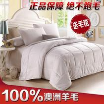 Home textile wool quilted by Australia 100% wool quilted spring autumn by thickened warm winter quilt core biathlon students