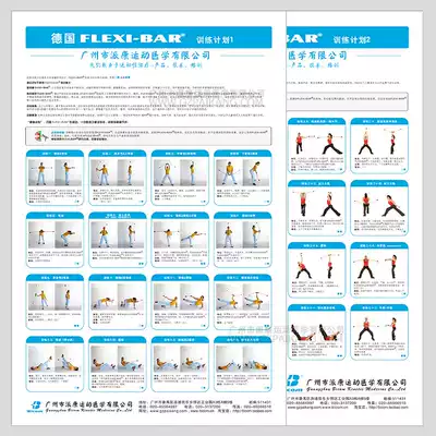 German FLEXI-BAR Holland XCO SCP explosion proof yoga ball training wall chart guide