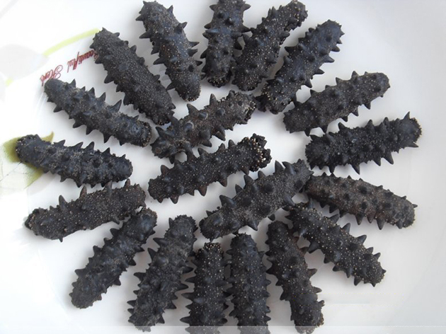 Light dried sea cucumber Thorn ginseng Liao Ginseng Non-ready-to-eat sea cucumber Dry goods Dalian Sea Cucumber Seafood products Small sea cucumber