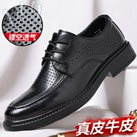 Black Hollow Model 8879-1