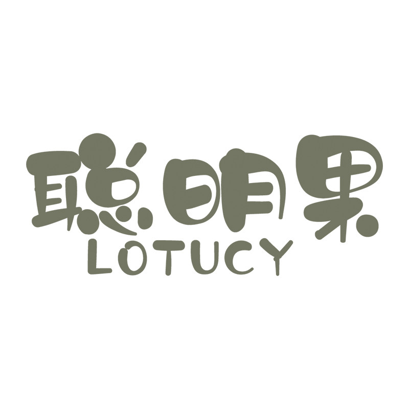 聪明果童装旗舰店