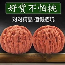 Fine Wenwan Walnuts Meteorite Yuanbao Oracle Bone Inscriptions Big Thick Ribs Pinggu Yuanbao