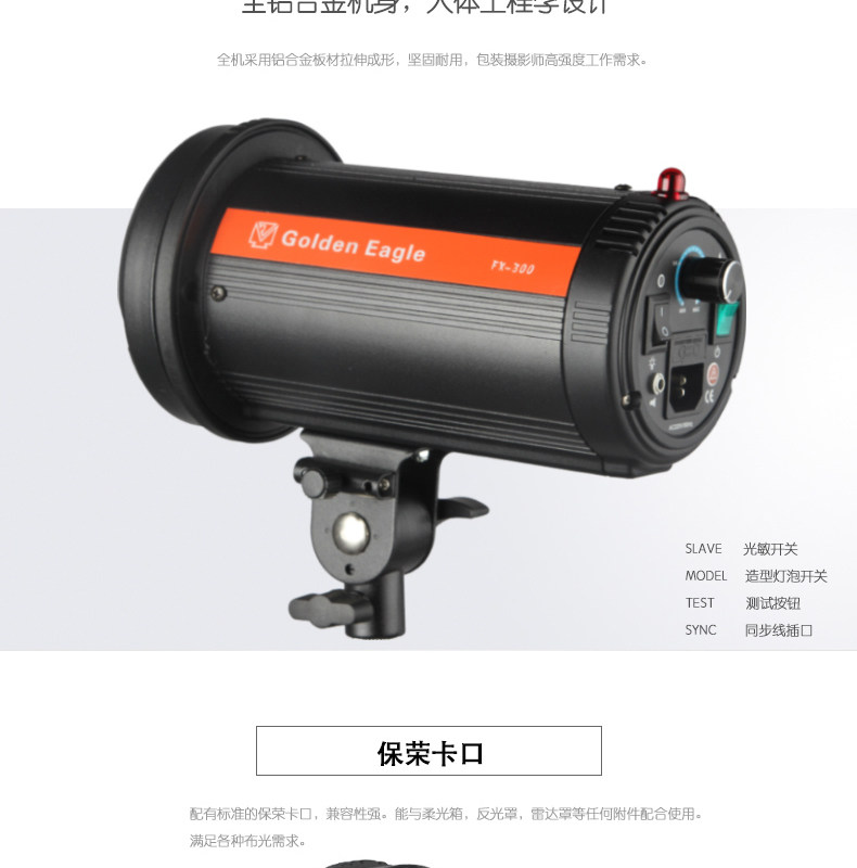 19212 Golden Eagle 300w Photo Studio Lamp Photostudio