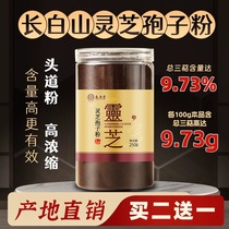 Zhengzong Northeastern Changbai Mountain Lucid Lucid Lucid et Lucid Lingzhi Poudre dorigine Vente directe Acheter 2