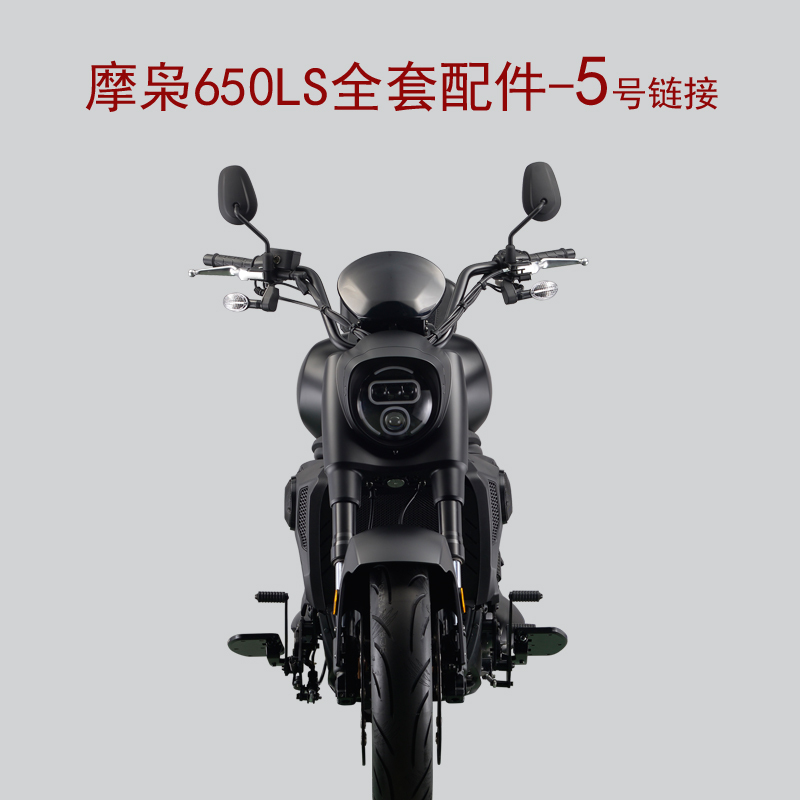 Moxiao 650Ls Cruiser Prince Mx650-5D Motorcycle Full Set of Accessories Bumper Side Bag Side Bag Bracket No. 5