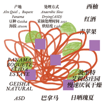 Minority coffee beans Panama Ailida ASD Day sunburn Fresh Bake Boutique Handflush Coffee Beans 100g