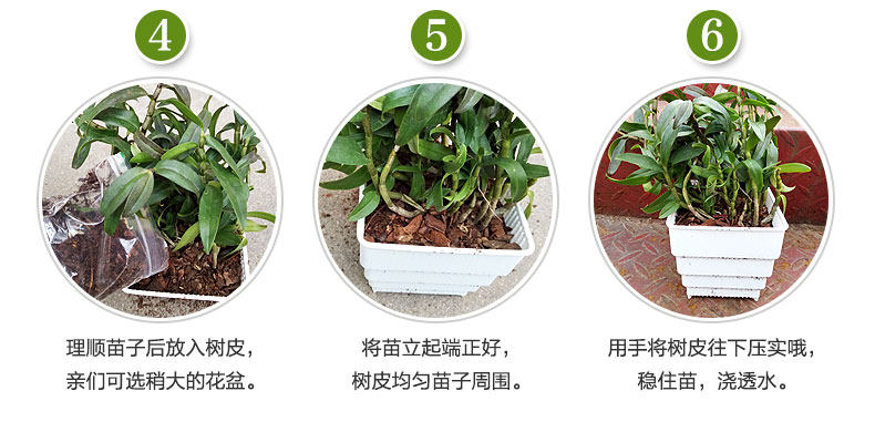 0401 Метод посадки 790_02.jpg