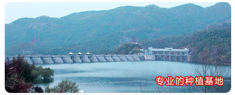 0226 Iron 4 Miao 790_20.jpg