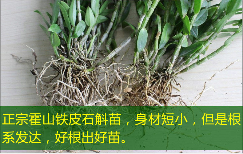 0226 Iron 4 Miao 790_14.jpg