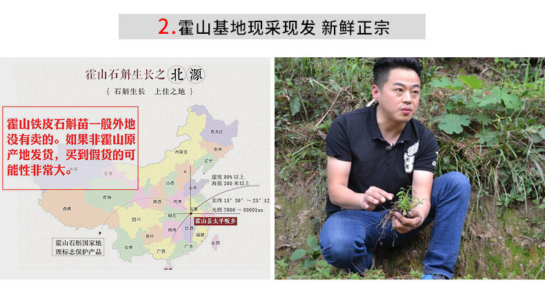 0701 Саженцы 3 горшки 790_06.jpg