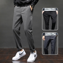 Mens pants 2021 new spring and autumn Joker simple comfortable loose straight pants youth elastic casual pants