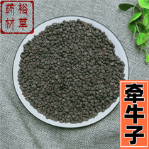 500 grams of black ugly Chinese herbal medicine black morning morning morning glory free powder and white morning