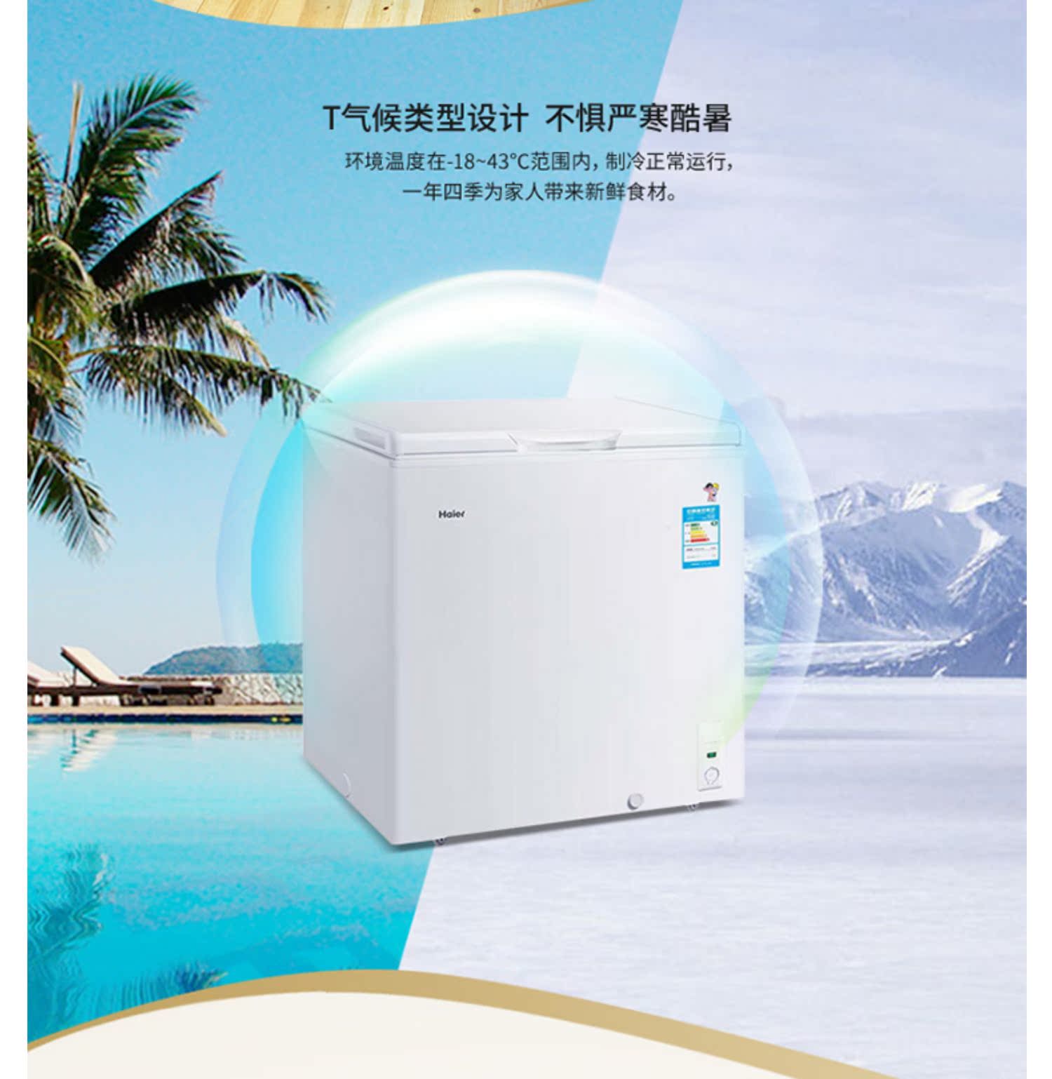 Tủ đông lạnh nhỏ Haier / Haier BC / BD-199HT và tủ đông lạnh thương mại - Tủ đông cho thuê tủ đông