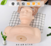 Skin management dummy head model beauty head model model head facial massage graft with shoulder