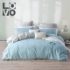 LOVO Viking Carolina tấm dệt bông bông chăn giường ngủ ở một gia đình bốn trẻ em phim hoạt hình A Dream - Bộ đồ giường bốn mảnh