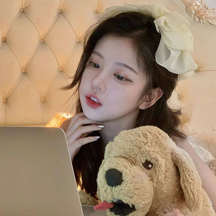 Fairy bowknot hairpin women's back head top clip spring clip 2023 new high-end clip hairpin hair ornament headdress