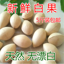 2020 fresh raw Baguio ginkgo fruit 5 pounds packed Pizhou with shell big Buddha Finger Ginkgo kernel Baguio kernel