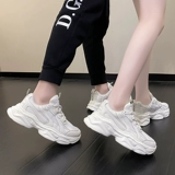 light Спортивные и отдыха