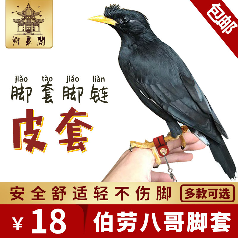 Xuan Phoenix Little Sun Monk Octagon Cockatoo Parrot Foot Chain Tethered Bird Chain Anti-Live overlight bird leather trekking ring
