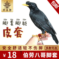 Xuan Phoenix Little Sun Monk 8-brother-of-the-Colombian Parrot foot chain Chained Bird chain Anti-Drop Alive Button Ultra Light Bird Leather Trekking Ring
