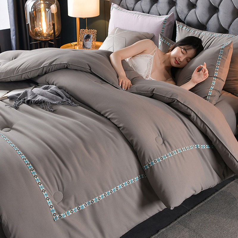 Hotel Quilt Winter Quilted By Double Thickened Warm Cotton Quilt Core Spring Autumn Seasons Universal Too air conditioning Bedding Single Winter