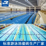 Синий бассейн, 115240mm