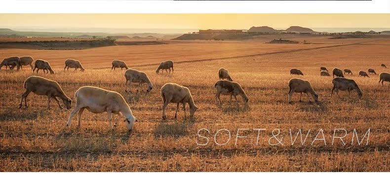 Pantalon collant jeunesse simple en laine - Ref 748583 Image 18