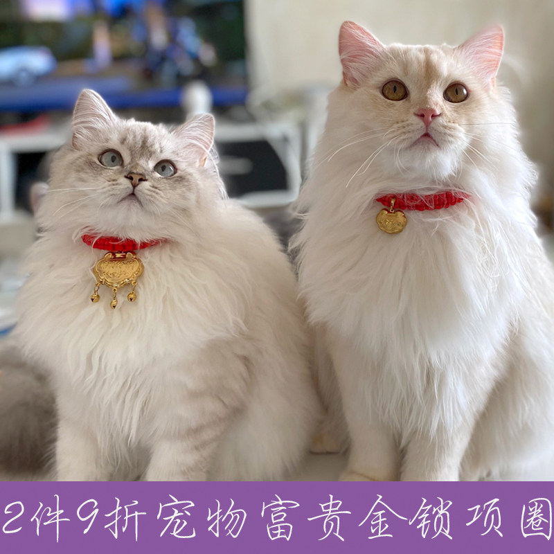 Cola home cat and dog long-life golden lock cute collar hand-woven collar cat brand kitten rabbit pet jewelry