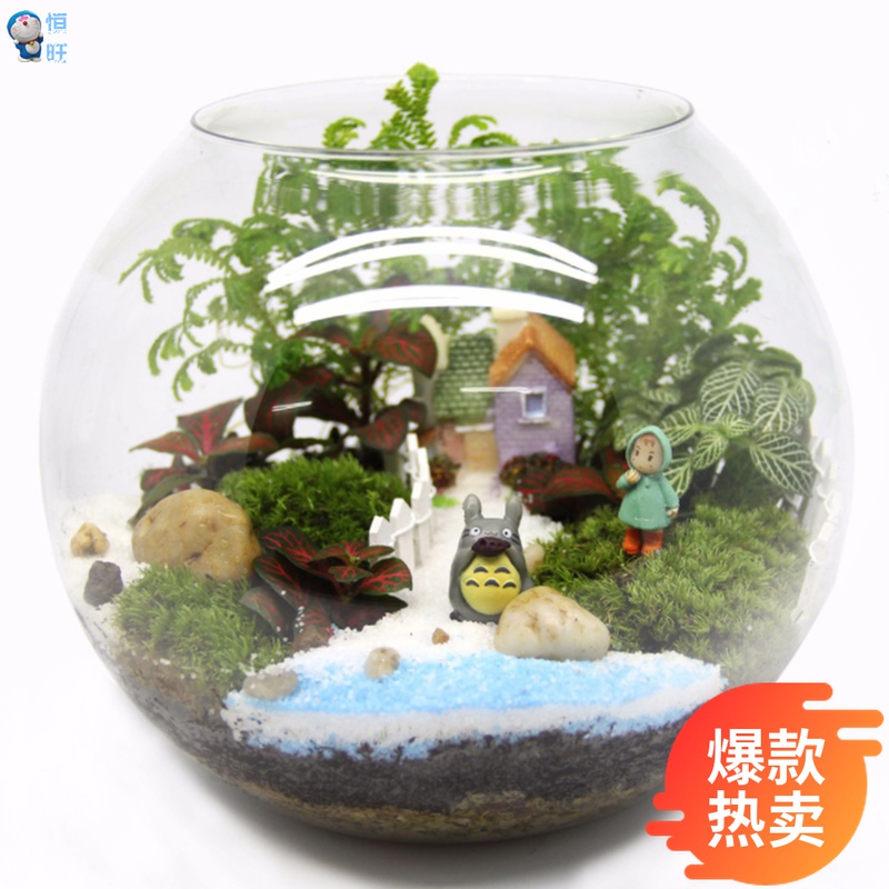 Moss micro landscape ecological bottle glass cap bottle birthday gift live plant finished creative gift snow day potted plant