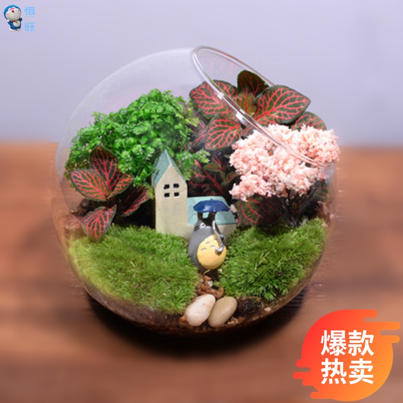 Creative Small Gift Moss Microscape Diy Material Cute Umbrella Dragon Tiger Cat 13 Pitched Bottle Family Craft Gift Hem