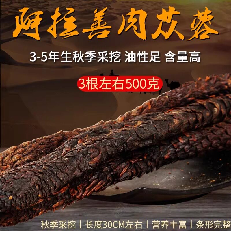 好恋你肉苁蓉滋补养生店的LOGO