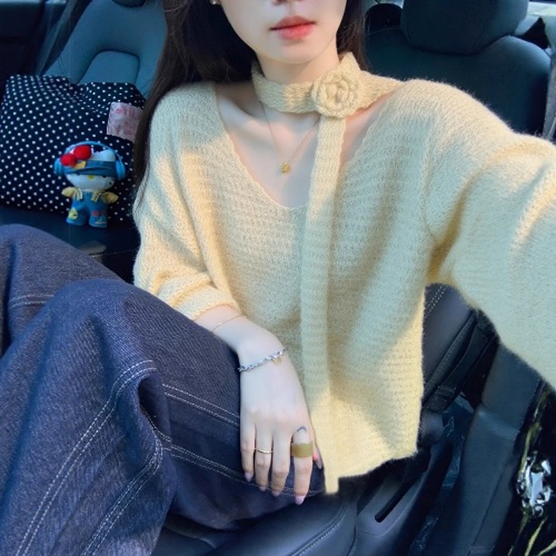 Atmospheric and Stylish Loose Pullover Knit Sweater with a Lazy and High-End Feel, Apricot-Colored with Three-Dimensional Floral Ribbons, Women's Sweater for Spring and Autumn