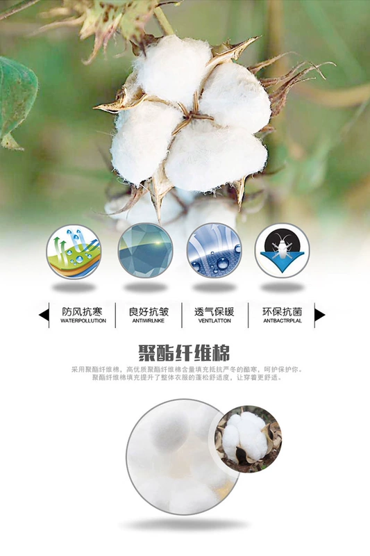 Áo khoác cotton nam mùa thu và mùa đông ngắn ấm áp lót dày áo vest kích thước lớn vest trung niên