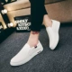 【Anti -Slip и износ -устойчивый в течение трех лет гарантии】 белый