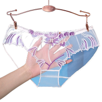 Lace underwear feminine transparent mesh embroidery charming girl large size sexy new pure lust briefs low waist