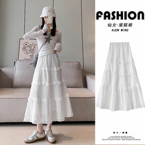 Cake skirt womens new summer style temperament lace pleated skirt slimming small mesh high-waisted A-line half-length skirt