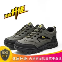 Новый ранний последователь [Линия+Клей 669 Зеленый]