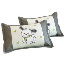 Summer ice screen pillow sleeve 2024 new pillow sleeve household 48x74cm single pillow core gall coil pair 2