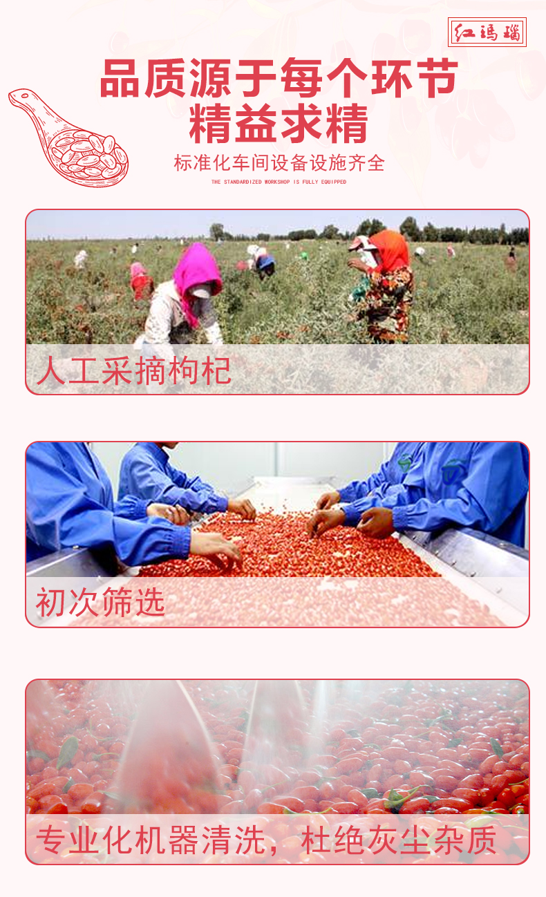 红玛瑙 宁夏特级免洗枸杞 250g*2袋 图12